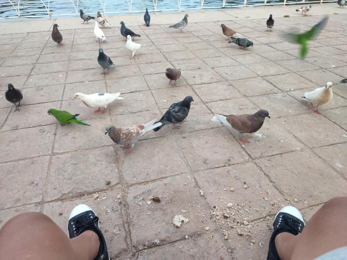 Parque Del Mediterraneo Malaga Zewnętrze zdjęcie